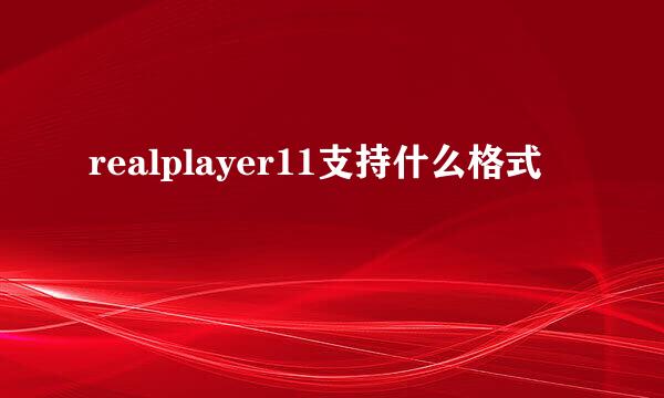 realplayer11支持什么格式