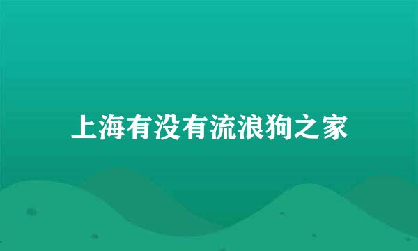 上海有没有流浪狗之家