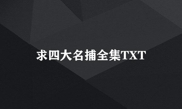 求四大名捕全集TXT