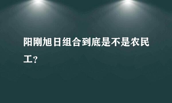 阳刚旭日组合到底是不是农民工？