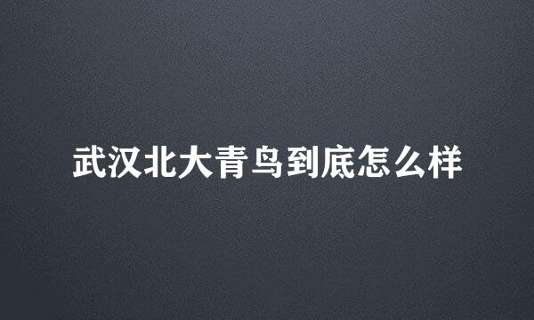 武汉北大青鸟到底怎么样