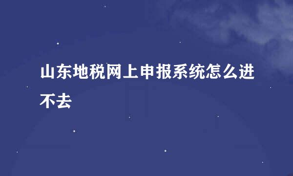 山东地税网上申报系统怎么进不去