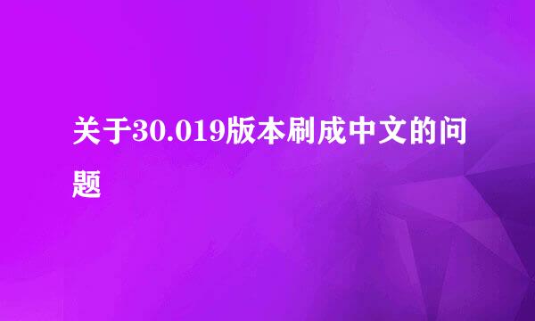 关于30.019版本刷成中文的问题