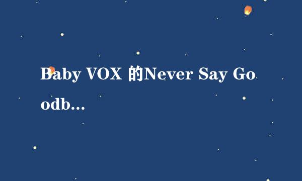 Baby VOX 的Never Say Goodbye 歌词 中文版的