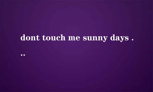 dont touch me sunny days 中文音译