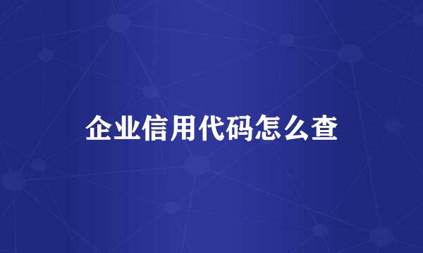 企业信用代码怎么查