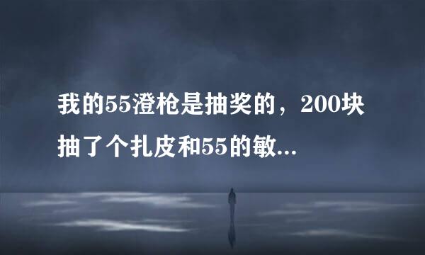 我的55澄枪是抽奖的，200块抽了个扎皮和55的敏锐的帕德玛夏之枪 ，这枪应该可以吧，合神3那胜利之枪？