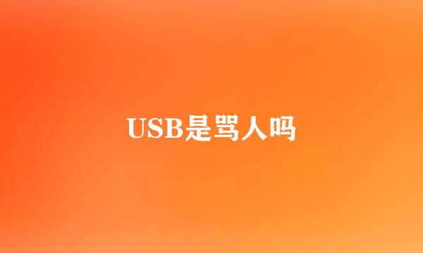 USB是骂人吗