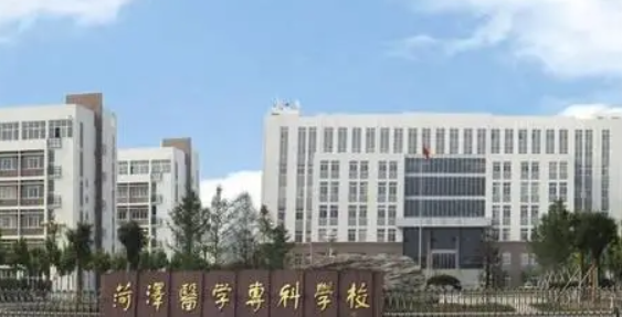 山东专科学校排名