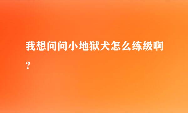 我想问问小地狱犬怎么练级啊？