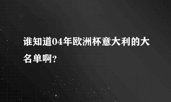 谁知道04年欧洲杯意大利的大名单啊？