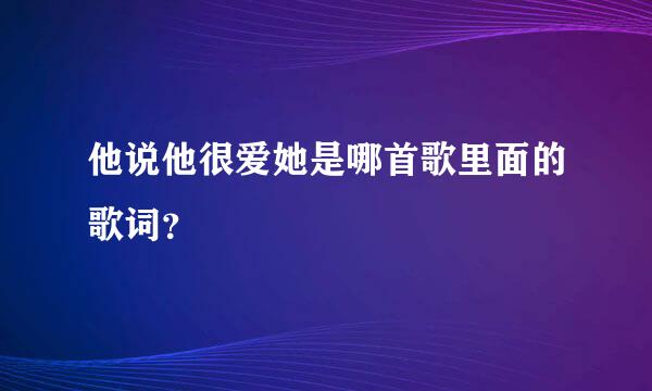 他说他很爱她是哪首歌里面的歌词？