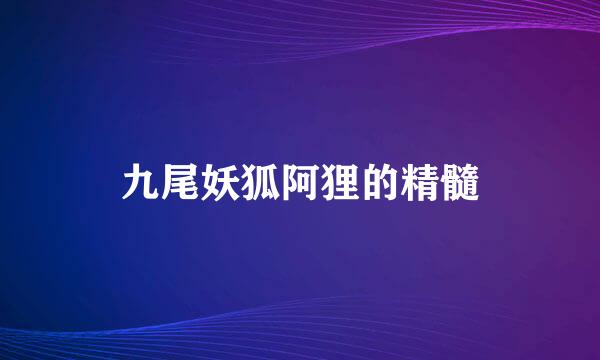 九尾妖狐阿狸的精髓