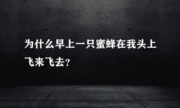 为什么早上一只蜜蜂在我头上飞来飞去？