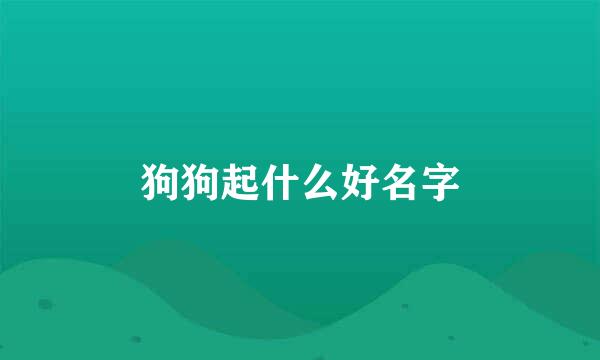 狗狗起什么好名字