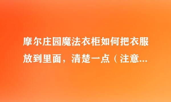 摩尔庄园魔法衣柜如何把衣服放到里面，清楚一点（注意是放衣服不是拿衣服）