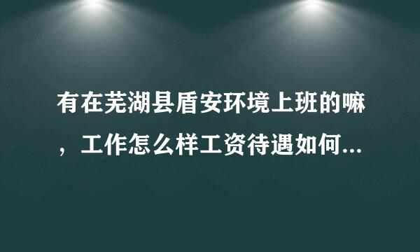 有在芜湖县盾安环境上班的嘛，工作怎么样工资待遇如何，我一个初中毕业生到里面能做什么