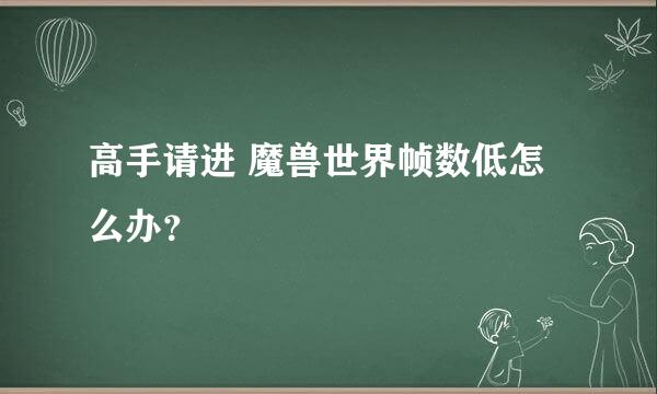 高手请进 魔兽世界帧数低怎么办？