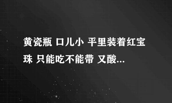 黄瓷瓶 口儿小 平里装着红宝珠 只能吃不能带 又酸又甜味道好谜语