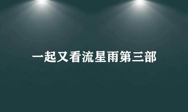 一起又看流星雨第三部