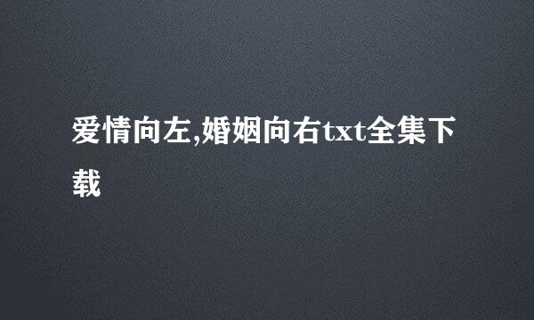 爱情向左,婚姻向右txt全集下载