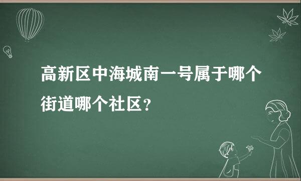 高新区中海城南一号属于哪个街道哪个社区？