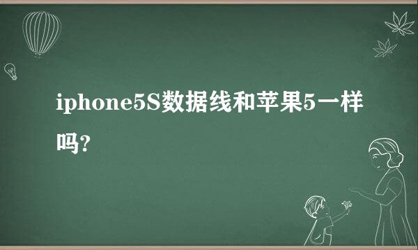 iphone5S数据线和苹果5一样吗?