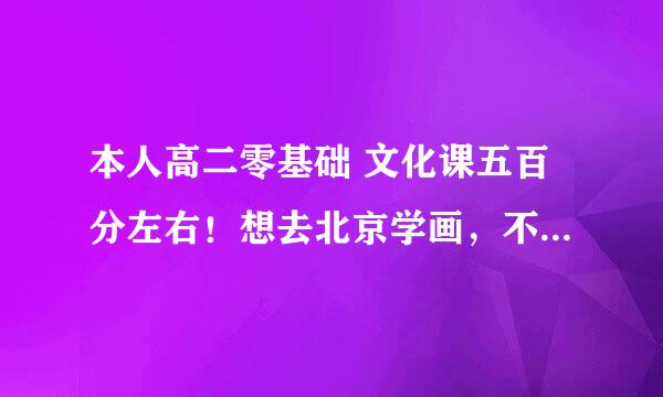 本人高二零基础 文化课五百分左右！想去北京学画，不喜欢大画室想找个10到15人左右的小班画室 求推荐！