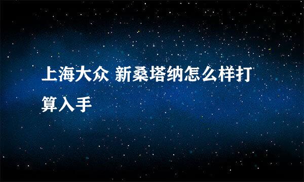 上海大众 新桑塔纳怎么样打算入手