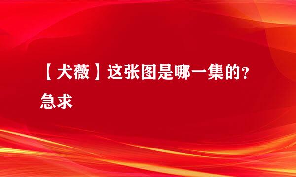 【犬薇】这张图是哪一集的？急求