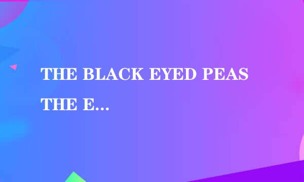 THE BLACK EYED PEAS THE END WORLD TOUR LIVE怎么样