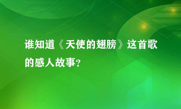 谁知道《天使的翅膀》这首歌的感人故事？