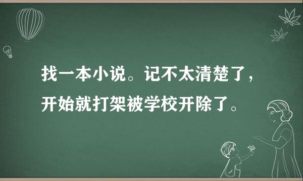 找一本小说。记不太清楚了，开始就打架被学校开除了。