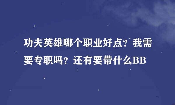 功夫英雄哪个职业好点？我需要专职吗？还有要带什么BB