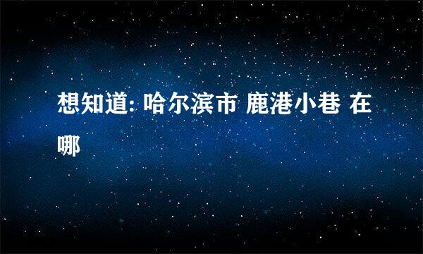 想知道: 哈尔滨市 鹿港小巷 在哪