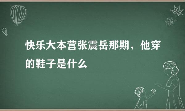 快乐大本营张震岳那期，他穿的鞋子是什么