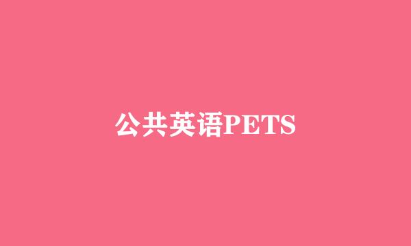 公共英语PETS