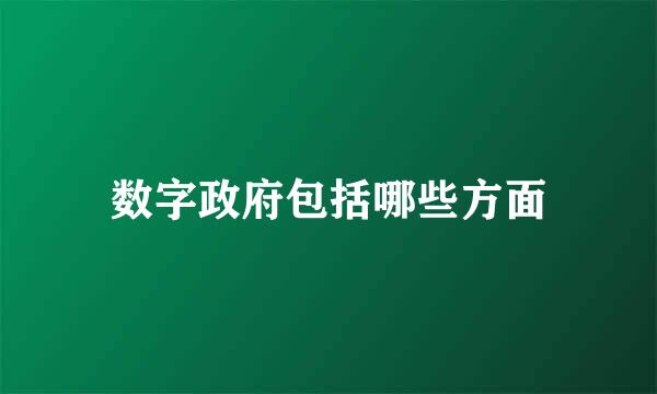 数字政府包括哪些方面