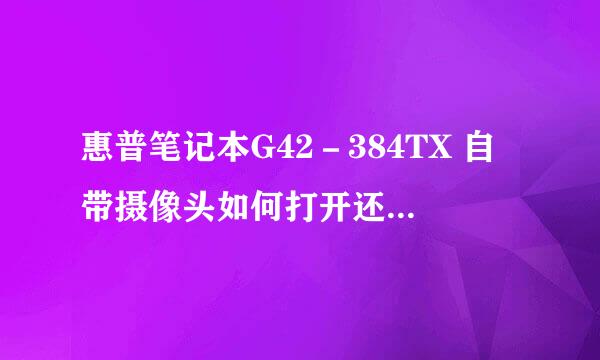 惠普笔记本G42－384TX 自带摄像头如何打开还有蓝牙？windows7系统的 ，最好详细点 谢谢了…