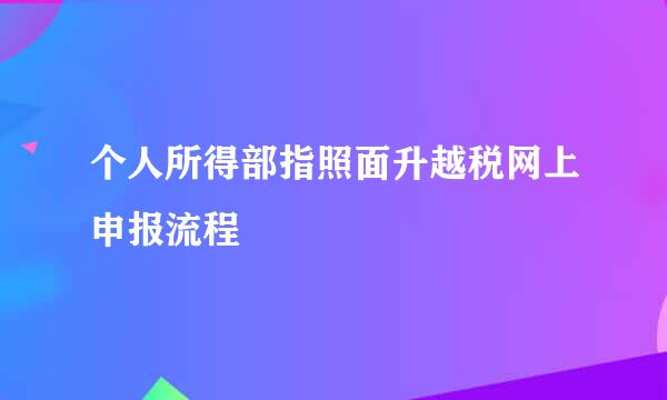 个人所得部指照面升越税网上申报流程