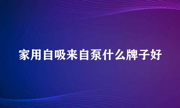 家用自吸来自泵什么牌子好