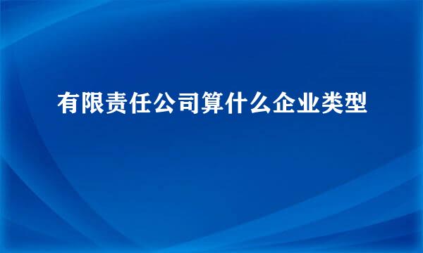 有限责任公司算什么企业类型