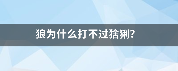 狼为什么打不过猞防输谁庆农纸相宪应猁？