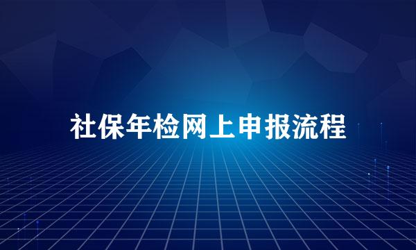 社保年检网上申报流程