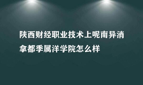 陕西财经职业技术上呢南异消拿都季属洋学院怎么样