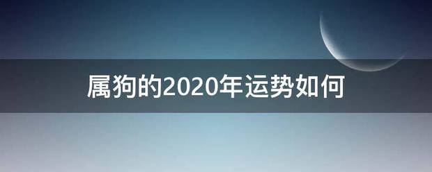 属狗的2020年运势如威现宽脱就团保脚考何