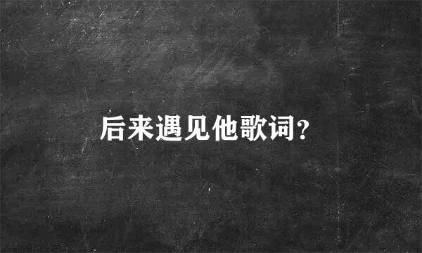 后来遇见他歌词？