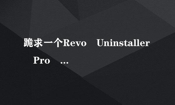 跪求一个Revo Uninstaller Pro 4中文破解版软件，最好带序列号