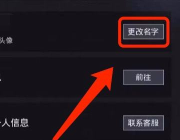 吃鸡游戏怎么改名字