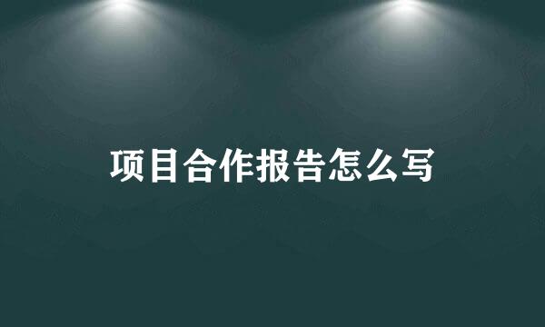 项目合作报告怎么写